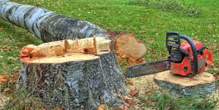 Best Hazardous Tree Removal  in Coweta, OK