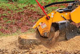 Best Lawn Disease Treatment  in Coweta, OK