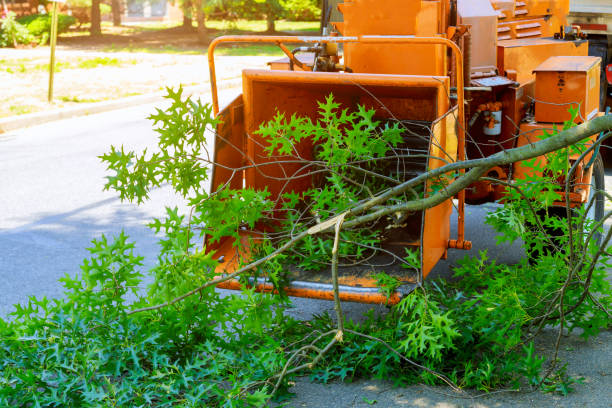 Best Aeration Services  in Coweta, OK