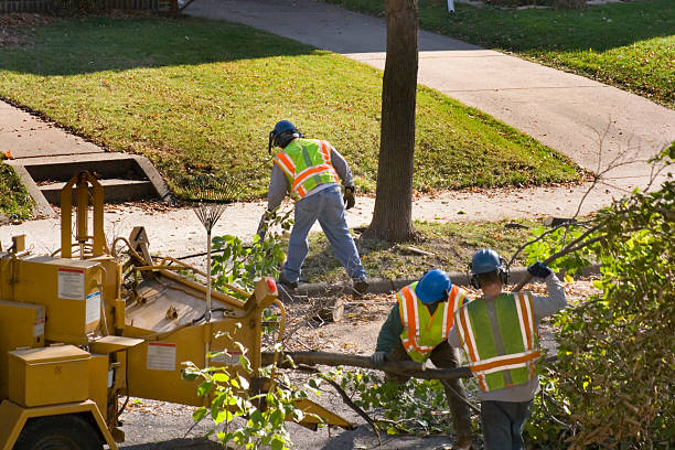 Best Pest Control for Lawns  in Coweta, OK